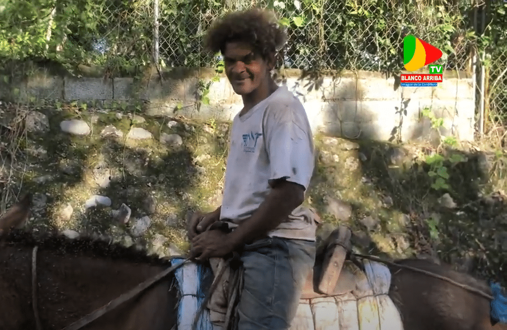 Leonardo Almanzar (Nao) es un productor de cacao que enseñó su perro a montar mulos y caballos.