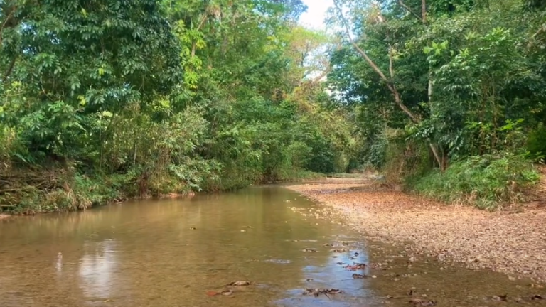 rio blanco y la laguna